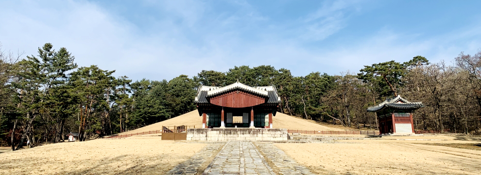 동구동 전경 사진
