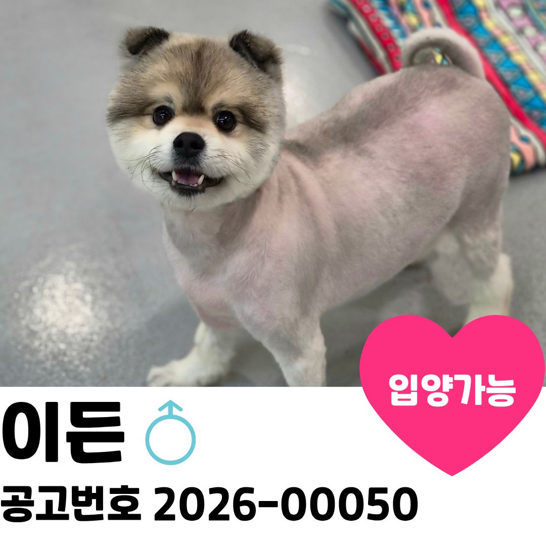 이든이의 가족을 찾습니다. 이미지 1 - 본문에 자세한설명을 제공합니다.