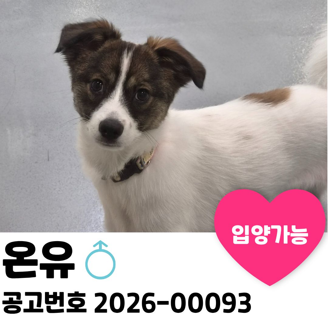 온유의 가족을 찾습니다. 이미지 1 - 본문에 자세한설명을 제공합니다.