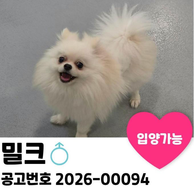 밀크가 가족을 찾습니다. 이미지