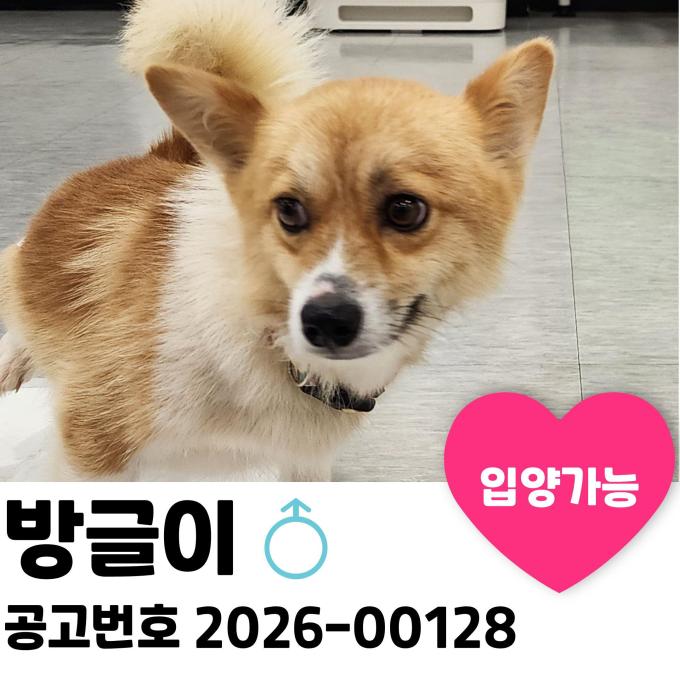 방글이의 평생 가족을 찾습니다. 이미지