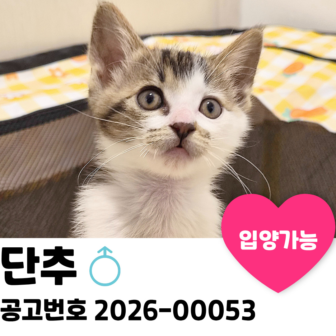 단추의 가족을 찾습니다. 이미지 1 - 본문에 자세한설명을 제공합니다.