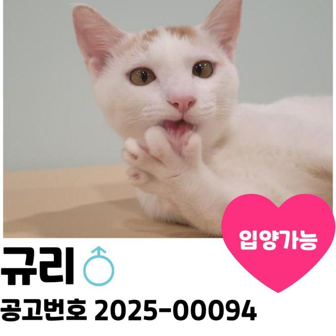 규리의 가족을 찾습니다 이미지