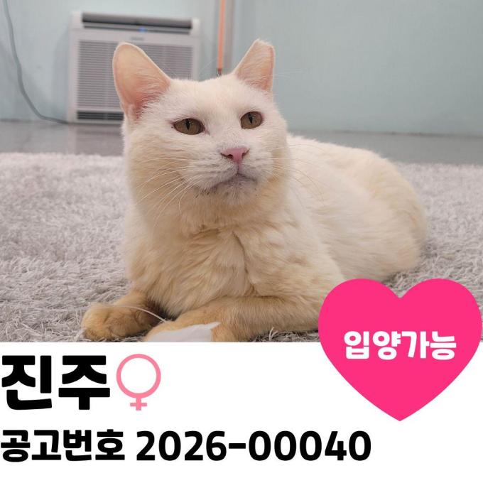 진주의 가족을 찾습니다. 이미지