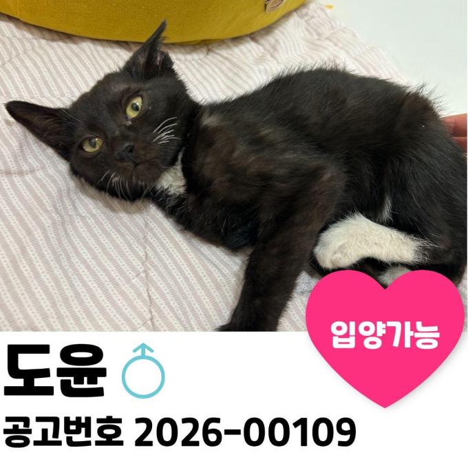 도윤이의 가족을 찾아요. 이미지