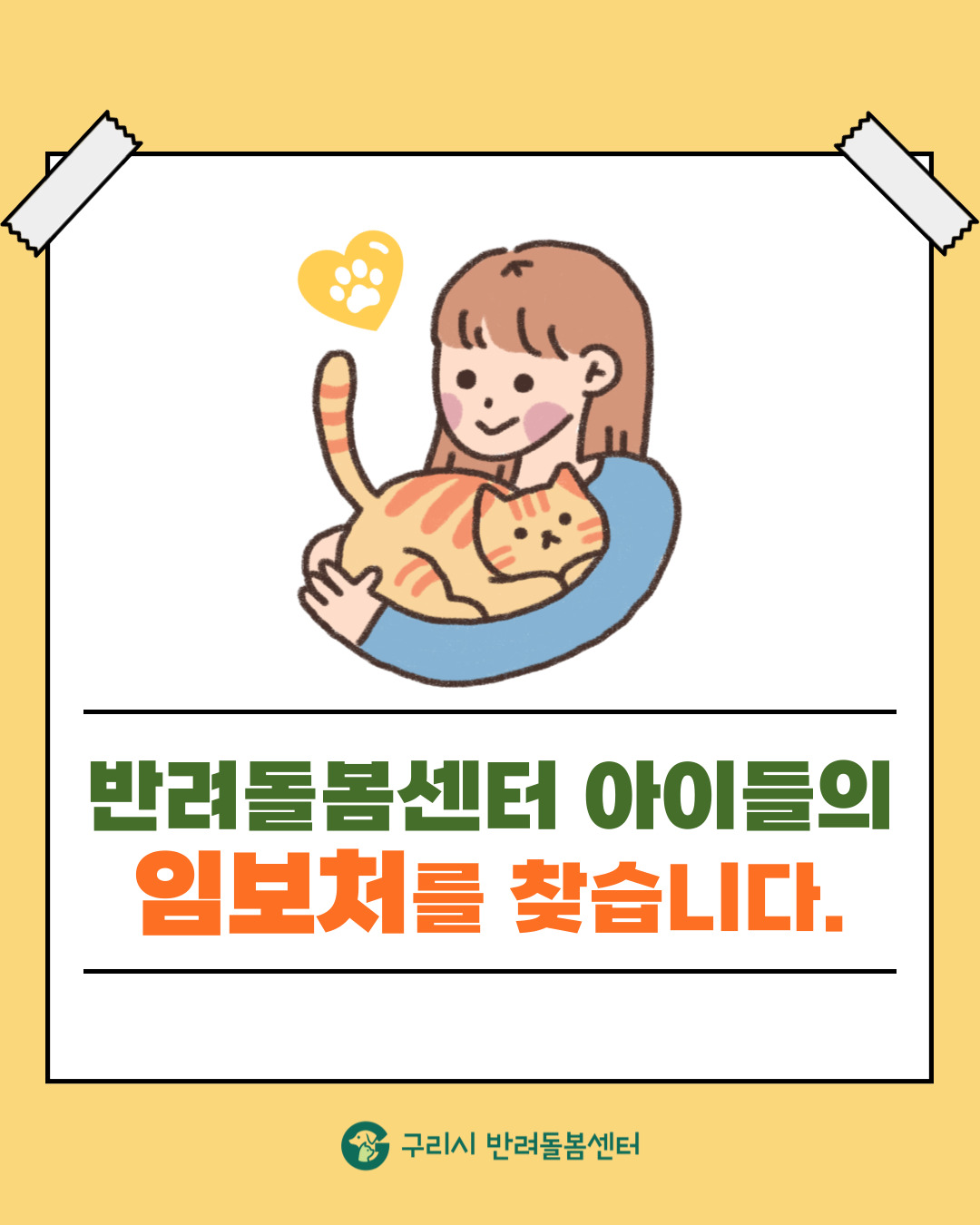 반려돌봄센터 아이들의 '임보처'를 찾습니다 이미지 1 - 본문에 자세한설명을 제공합니다.