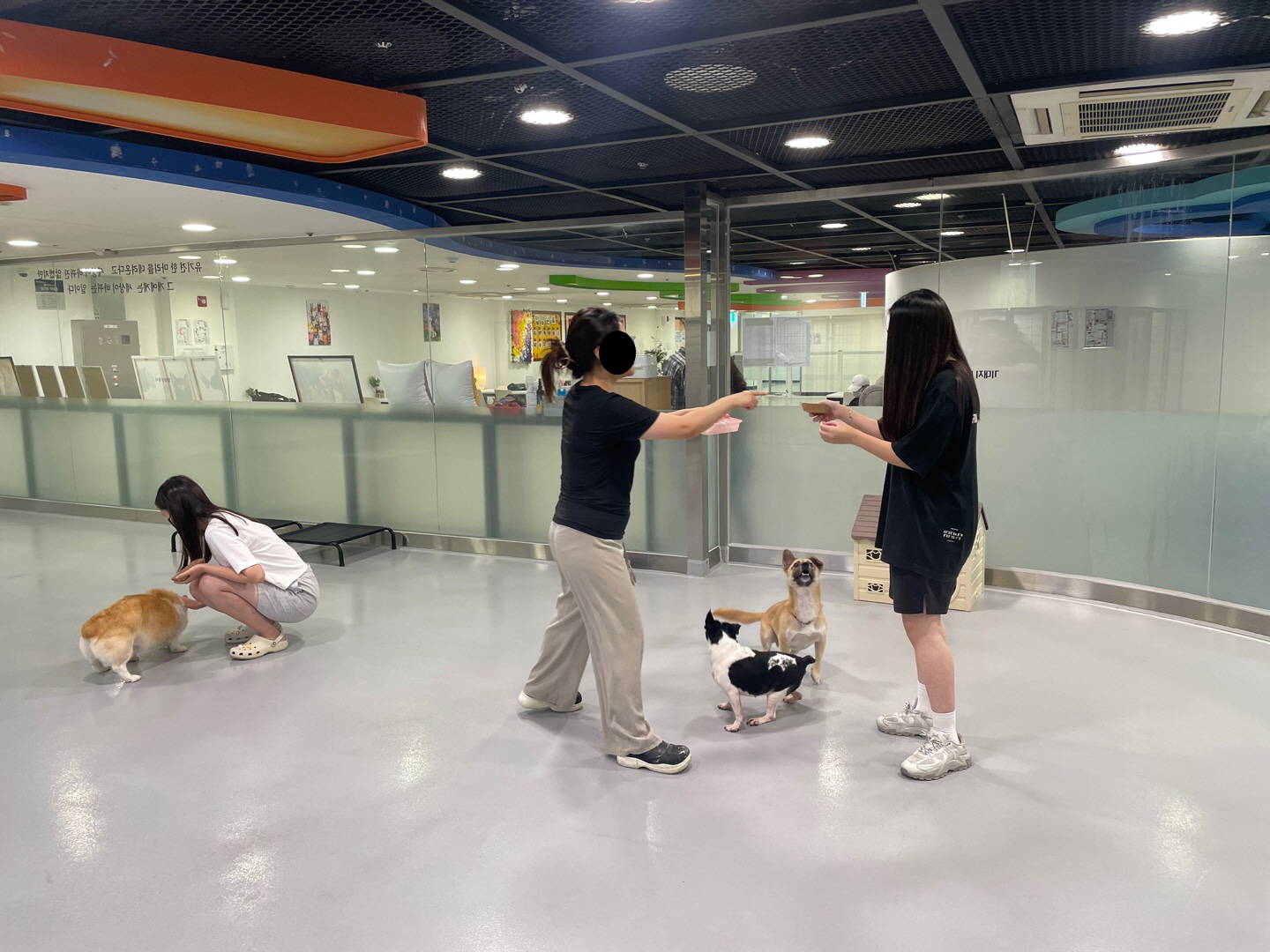 1365 자원봉사센터 - 유기동물을 위한 수제간식 만들기 봉사 이미지 5 - 본문에 자세한설명을 제공합니다.