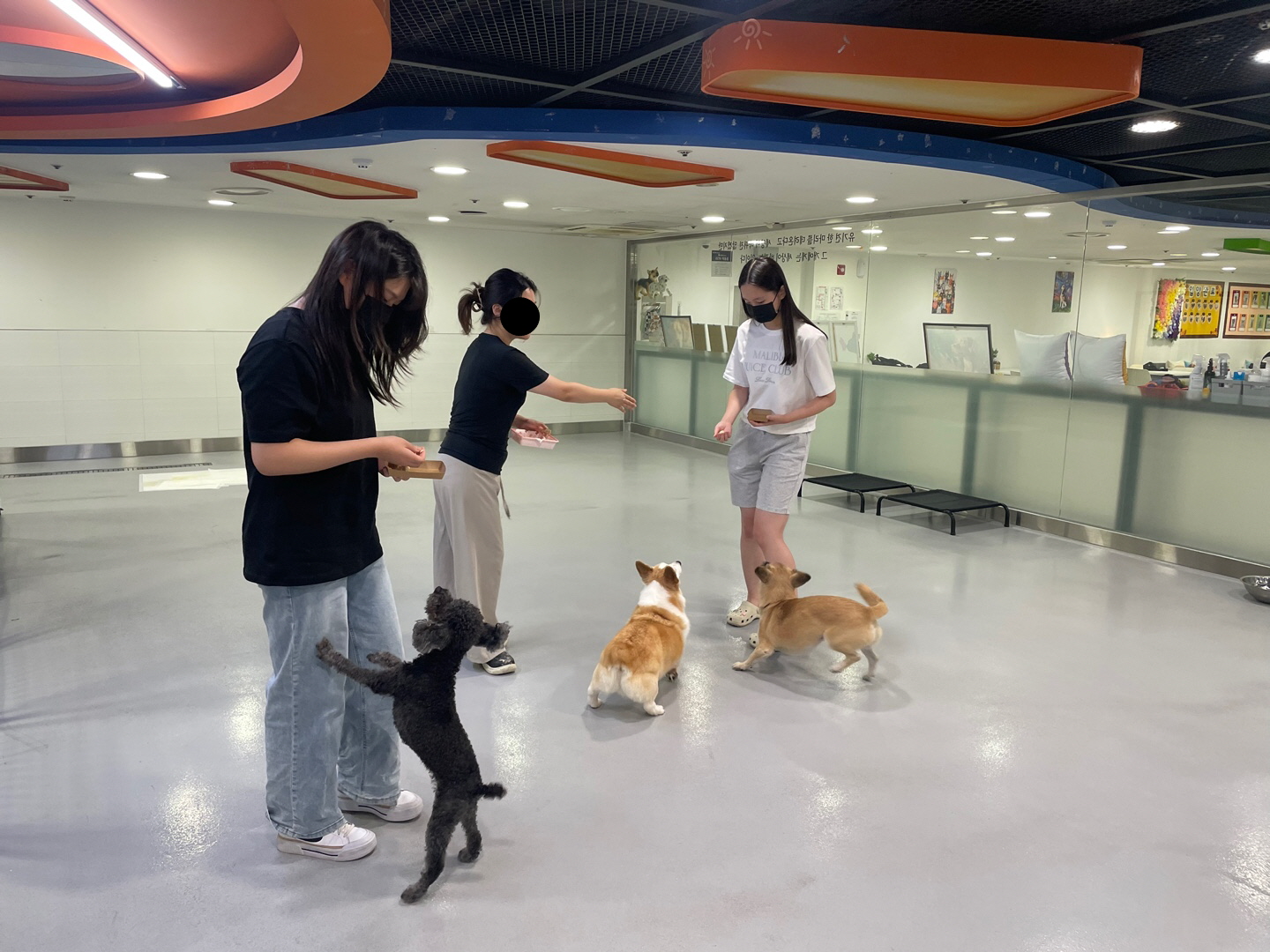 1365 자원봉사센터 - 유기동물을 위한 수제간식 만들기 봉사 이미지 6 - 본문에 자세한설명을 제공합니다.