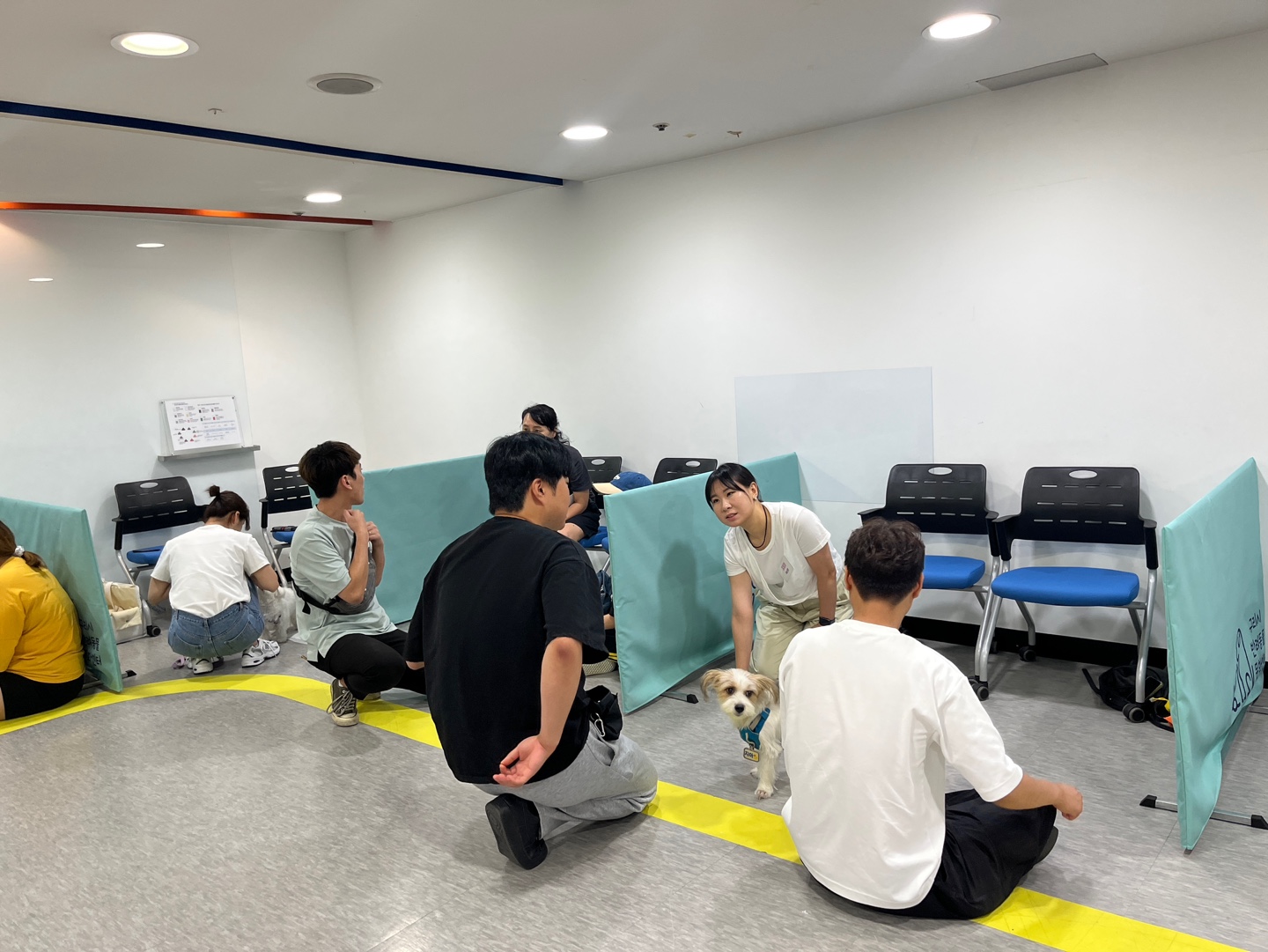 'The 행복하개' 수업사진 이미지 4 - 본문에 자세한설명을 제공합니다.