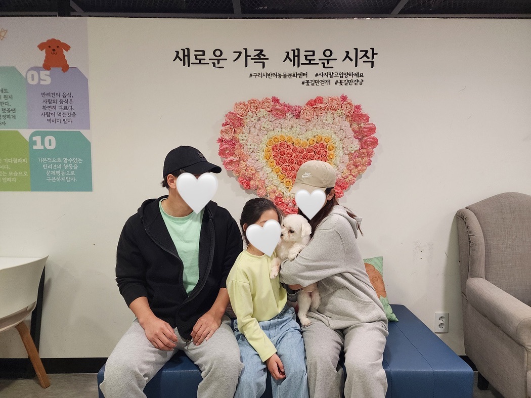 똘이_입양완료 이미지 1 - 본문에 자세한설명을 제공합니다.