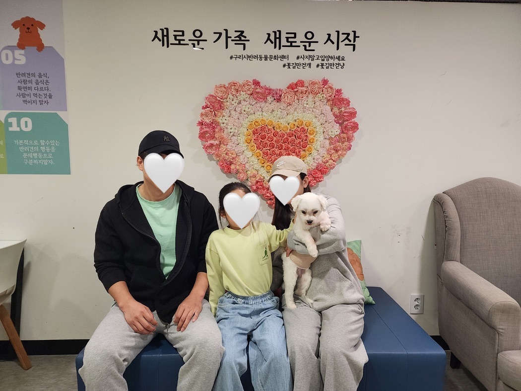 똘이_입양완료 이미지 2 - 본문에 자세한설명을 제공합니다.