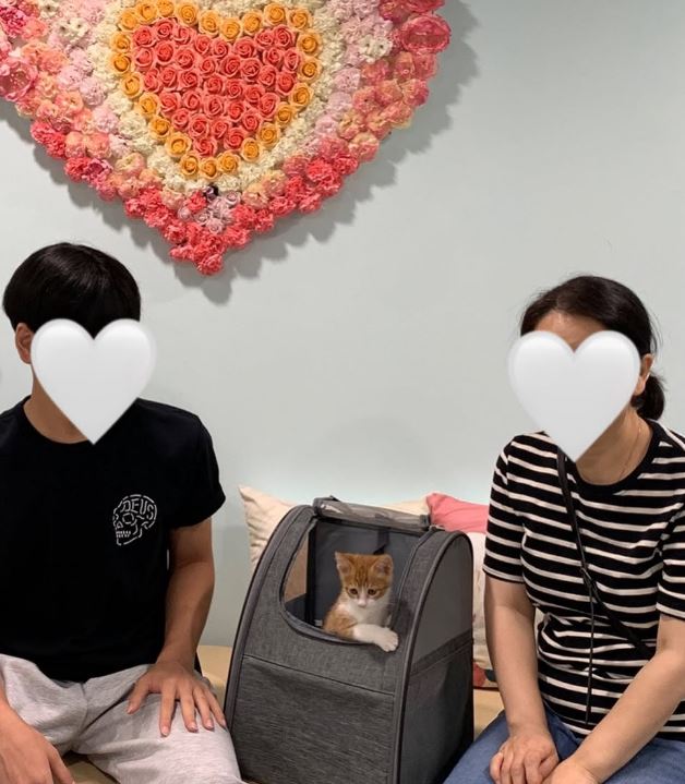 리나_입양완료 이미지 1 - 본문에 자세한설명을 제공합니다.