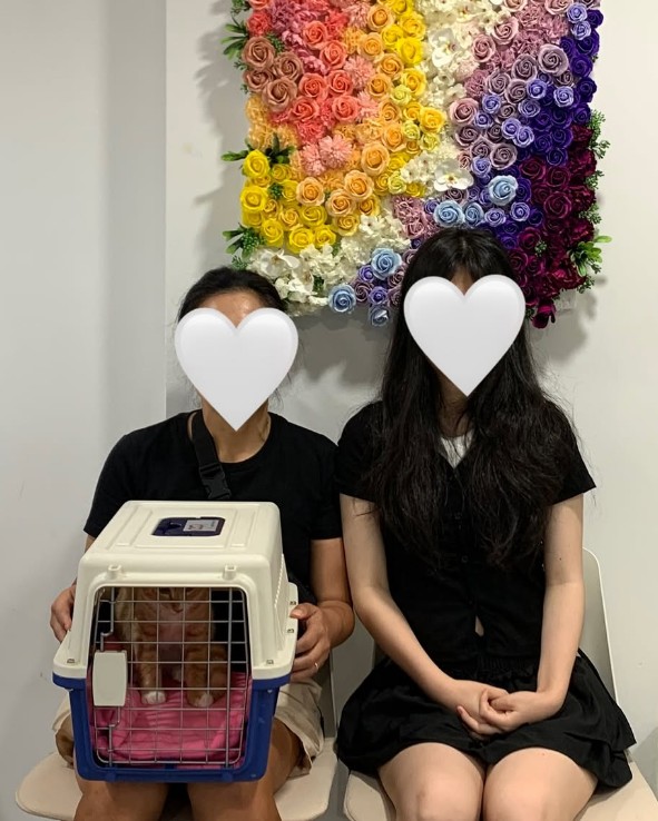레몬_입양완료 이미지 1 - 본문에 자세한설명을 제공합니다.