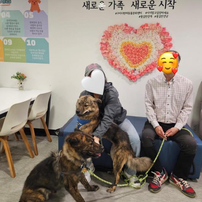 남희&남궁_입양완료 이미지