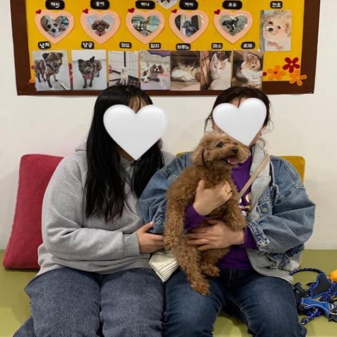 토토_입양완료 이미지