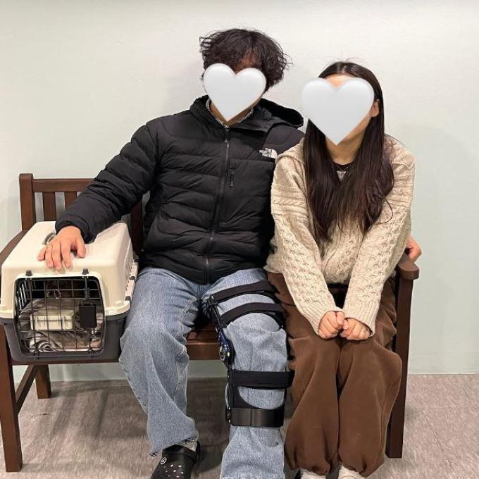 보검이_입양완료 이미지