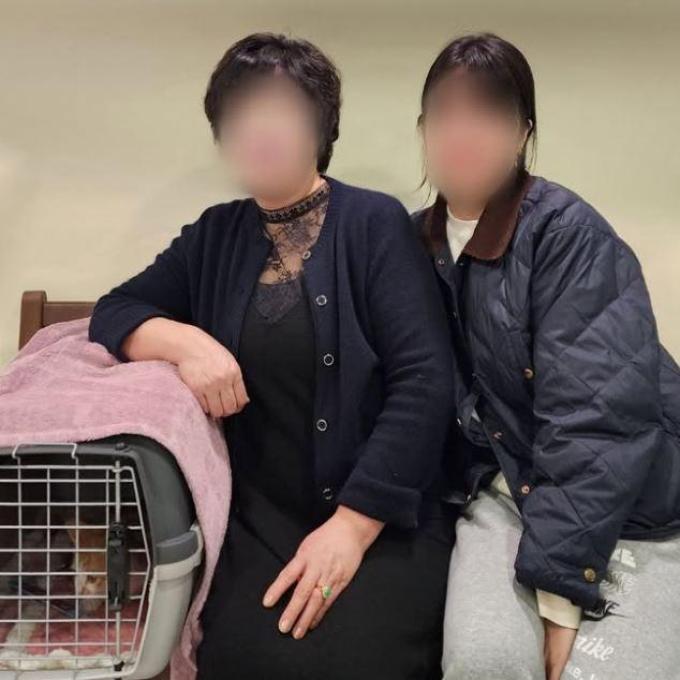 케이_입양완료 이미지