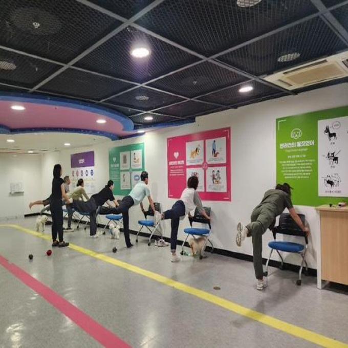 5월 교육프로그램) 반려인을 위한 맞춤요가 이미지