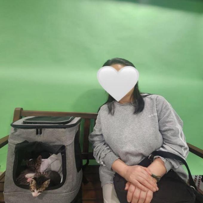 나나 다다_입양완료 이미지