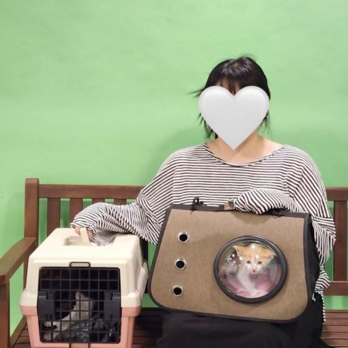 짜장이, 달이_입양완료 이미지