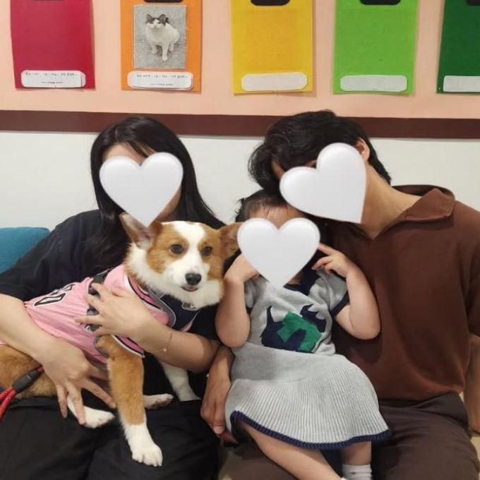코코_입양완료 이미지