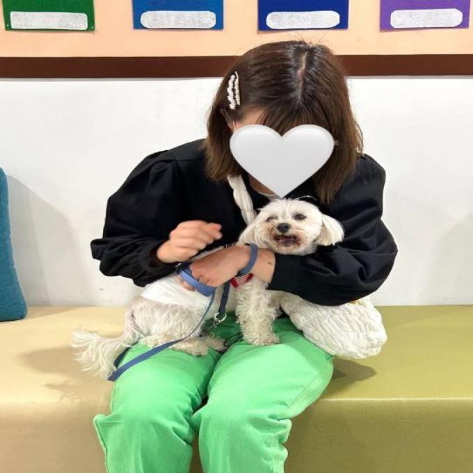 순돌_입양완료 이미지