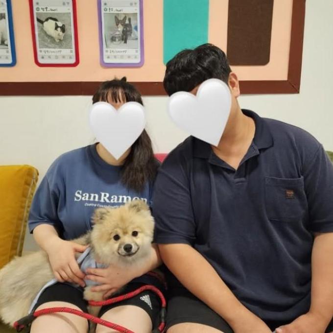 쿠마_입양완료 이미지