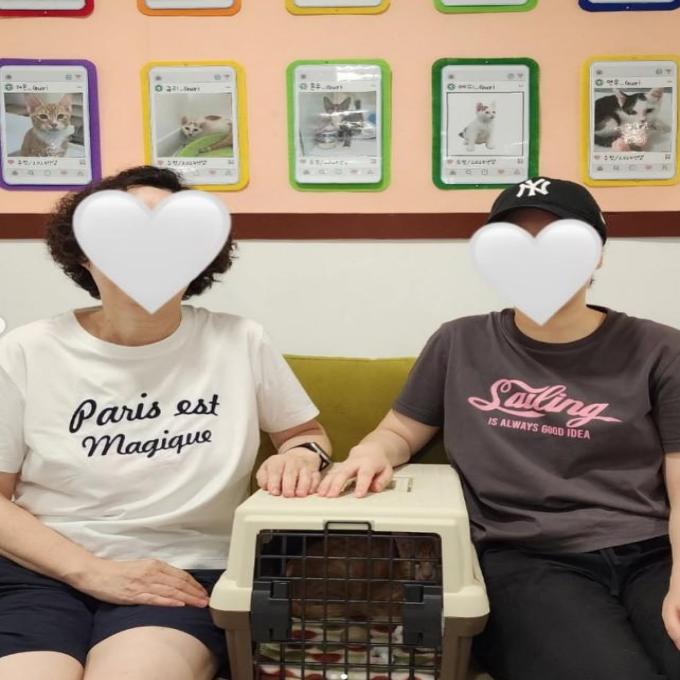 망고_입양완료 이미지