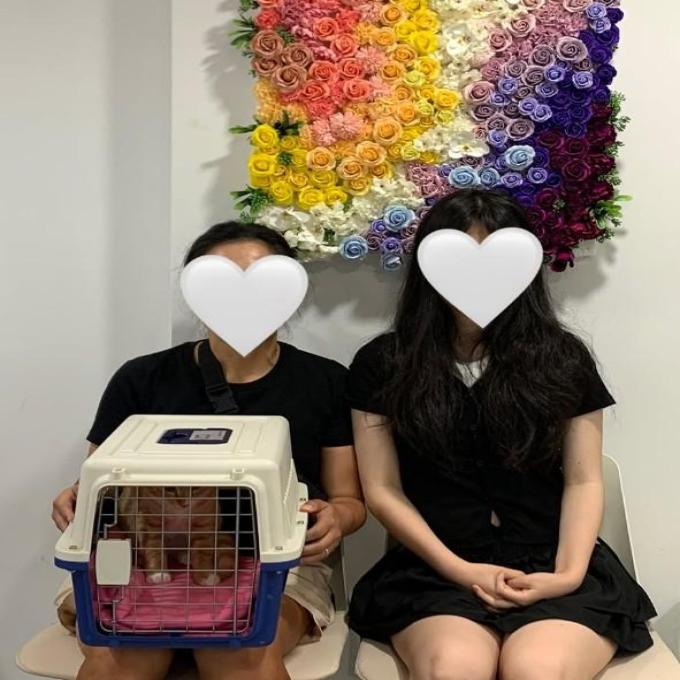 레몬_입양완료 이미지