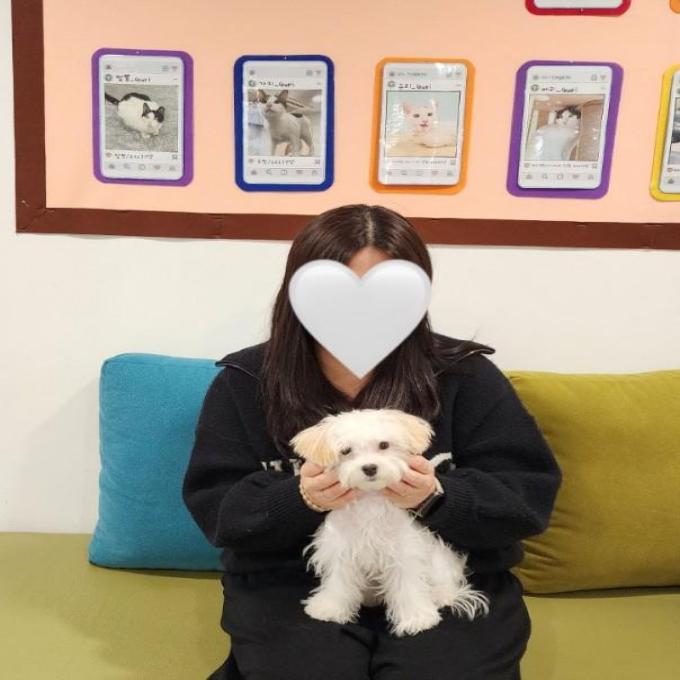 하루_입양완료 이미지