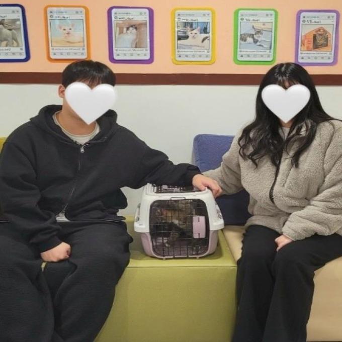 모카_입양 완료(2027_11_26) 이미지