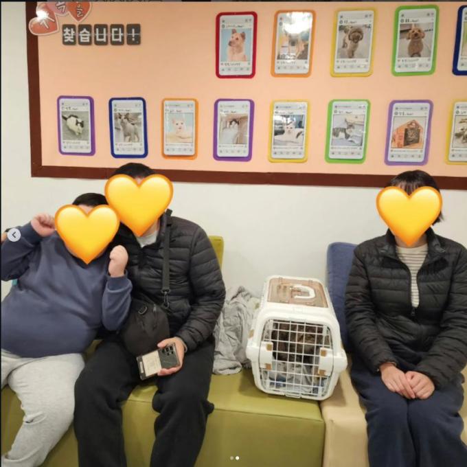 방울이_입양 완료(2025_11_29) 이미지