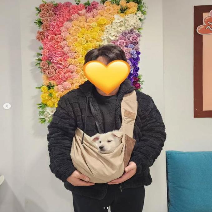 산이_입양 완료 (2026_01_17) 이미지