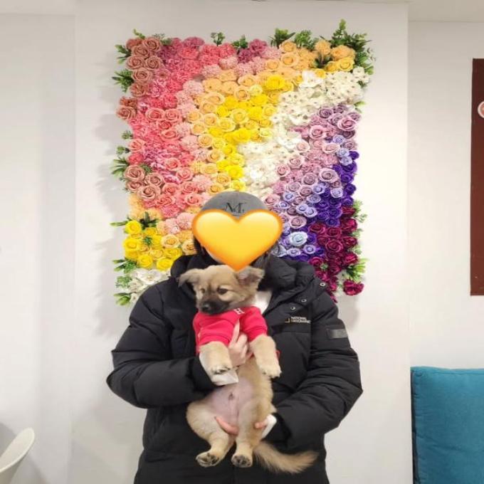강이_입양 완료 (2026_01_17) 이미지