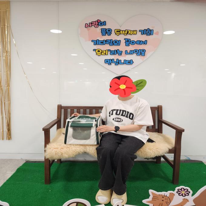 구슬이_입양 완료 (2026_04_19) 이미지