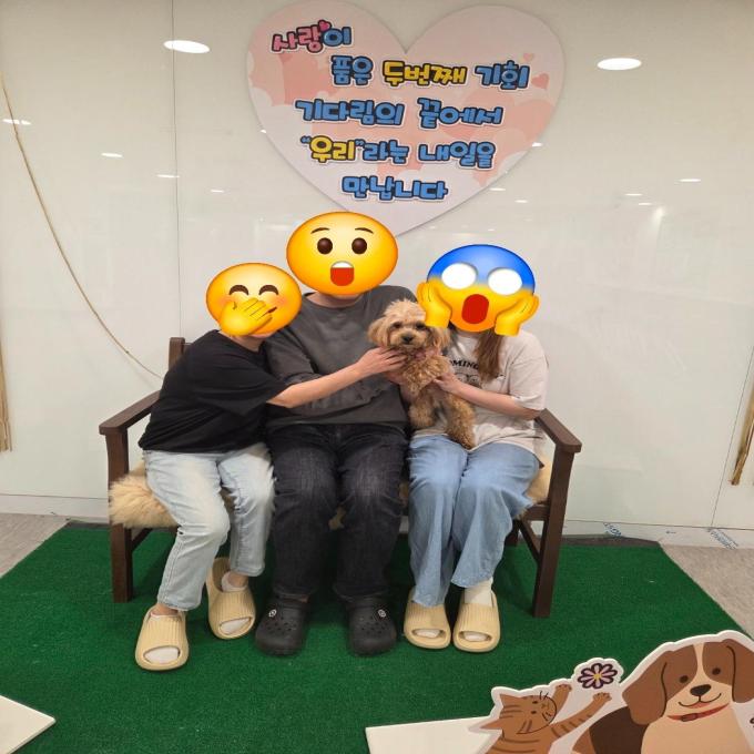 폴_입양 완료(2026_04_24) 이미지