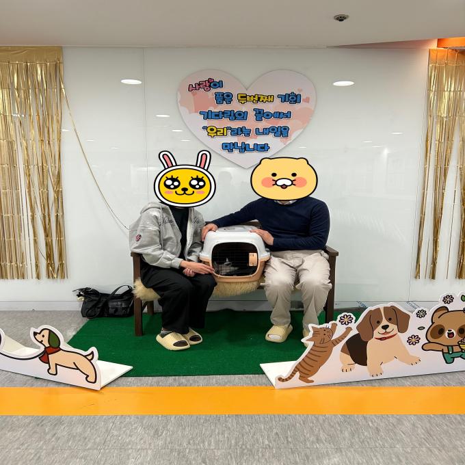 하모_입양 완료 (2026_04_25) 이미지