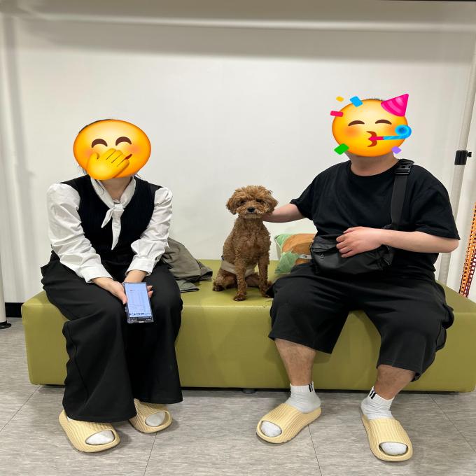 아더_입양 완료 (2026_04_30) 이미지