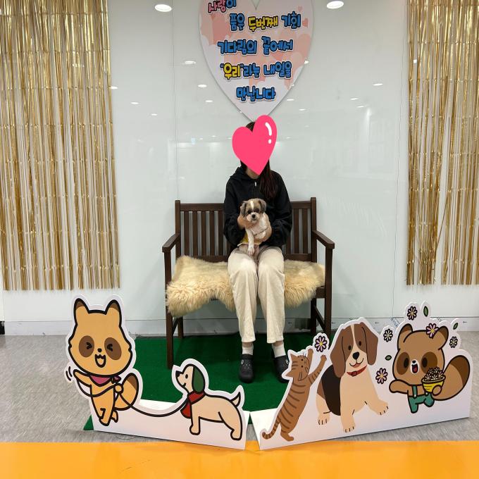송이_입양 완료 (2026_05_09) 이미지