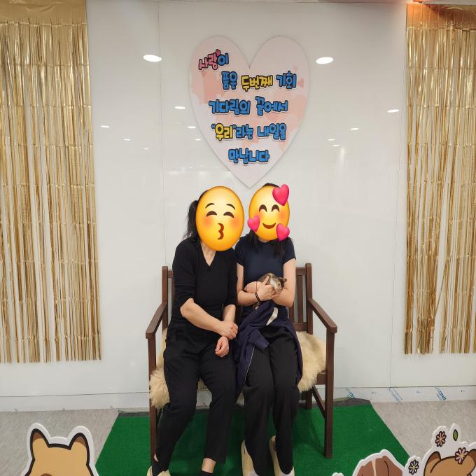 삼색이 아기 고양이_입양 완료 (2026_05_10) 이미지