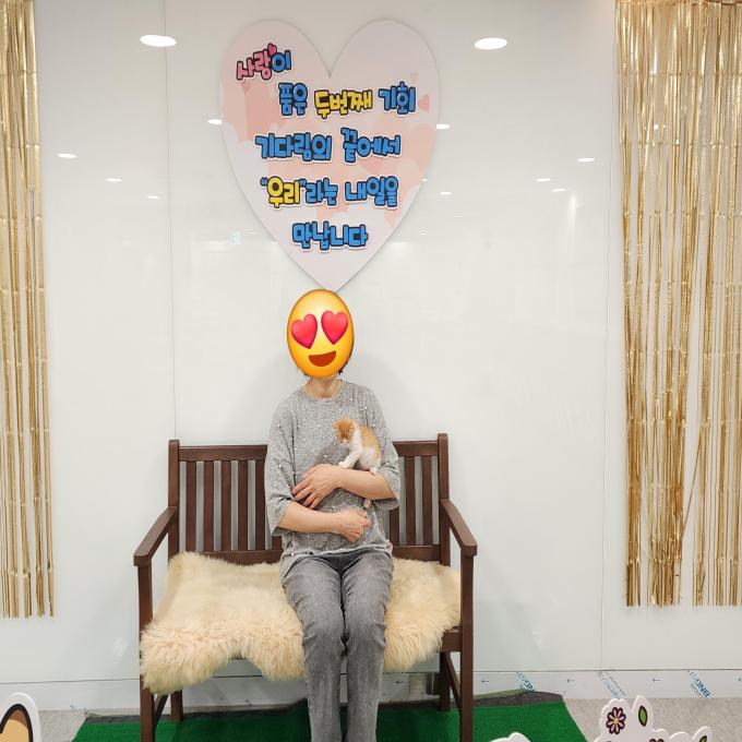 치즈 아기 고양이_입양 완료 (2026_05_10) 이미지