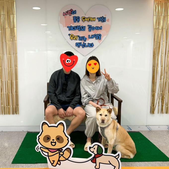 그레이스_입양 완료(2026_05_29) 이미지