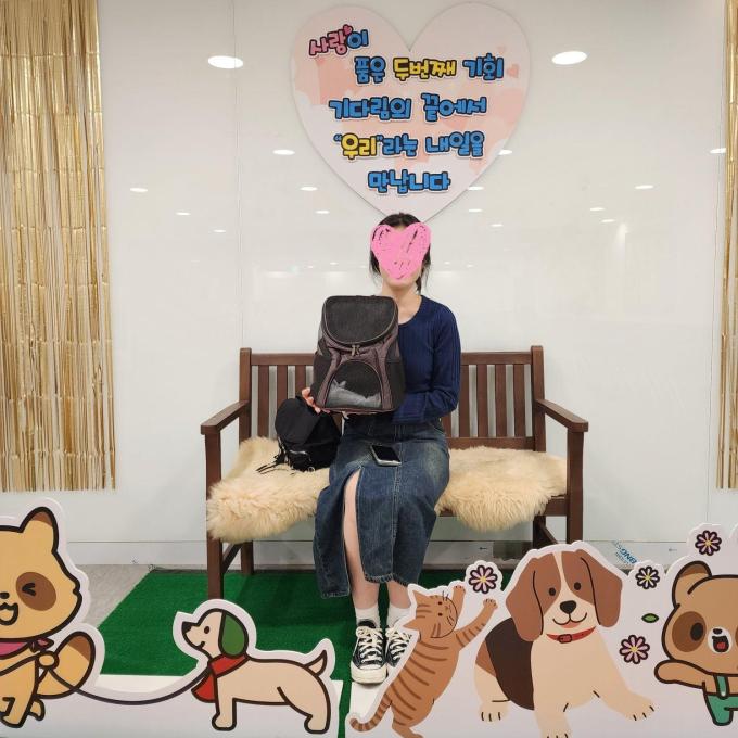 네로_입양 완료(2026_06_12) 이미지