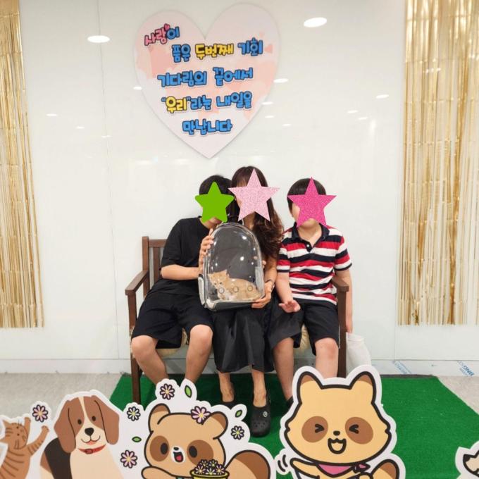 체다, 모짜_입양 완료(2026_06_14) 이미지