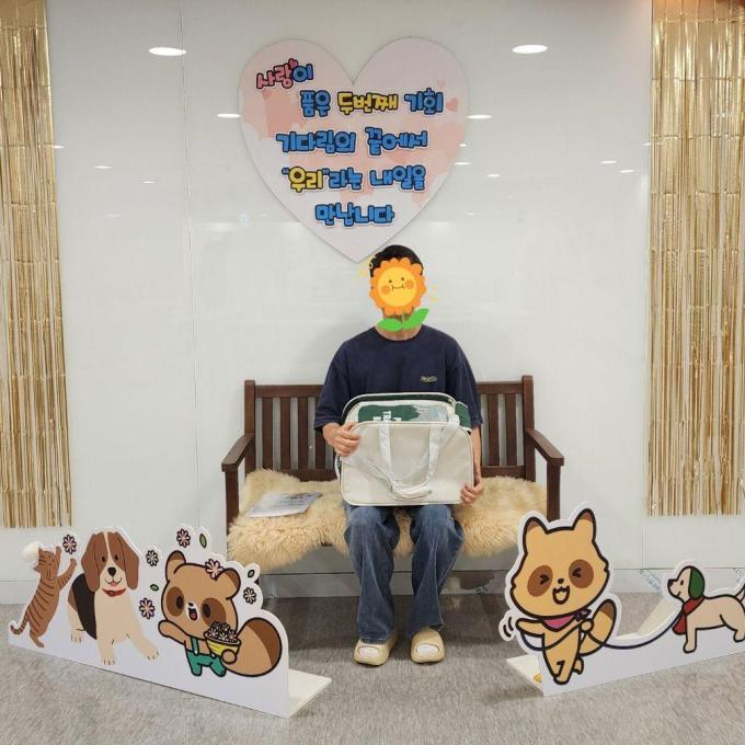 고다_입양 완료(2026_06_20) 이미지