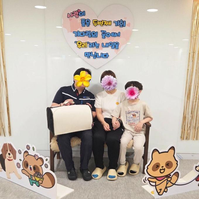 줄리_입양 완료(2026_06_25) 이미지