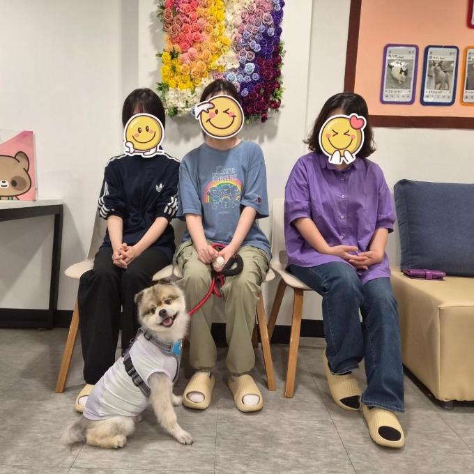 이든_입양 완료(2026_06_27) 이미지