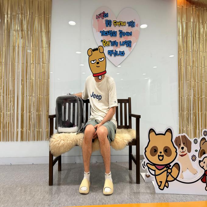 로미_입양 완료(2026_07_05) 이미지