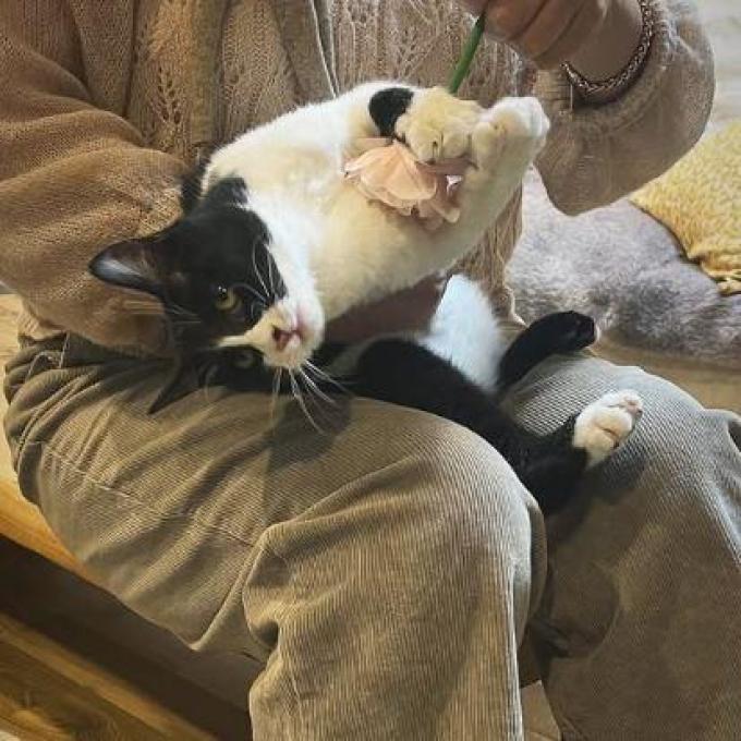 잘생긴 체리에요~ 이미지