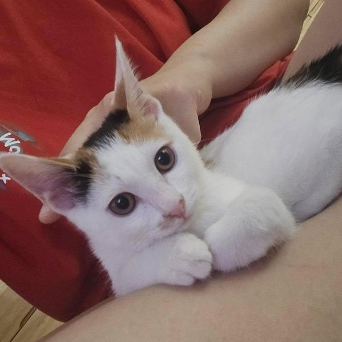 지니 이미지